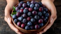 Fresh organic blueberries in wooden bowl held by hands on rustic table. Healthy antioxidant superfood for breakfast, smoothies and baking recipes.