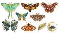 Luna moth with elongated wings in soft green and yellow tones, death's-head hawkmoth with distinctive skull marking on thorax, various colorful butterflies and moths including peacock-patterned wings in brown and rust tones, botanical leaf elements, and circular frame detail. Isolated specimens on white background suitable for educational materials, nature design projects, and scientific illustrations.