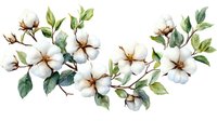 Watercolor cotton branch with white blooms and green leaves on isolated background, botanical floral arrangement for textile and stationery design.