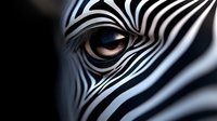 Close-up of zebra eye with distinctive black and white striped pattern showing natural wildlife beauty and African safari animal details.