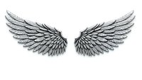 Detailed angel wings with intricate feather texture isolated on white background for tattoo designs, logos, and spiritual artwork applications.