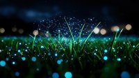 Magical glowing grass blades in dark night with bokeh lights and sparkles creating ethereal nature atmosphere. Suitable for fantasy and dreamy designs.
