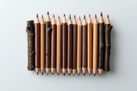 Wooden pencils arranged in a row between natural tree twigs on white background, creating minimal nature-inspired composition for education and creativity concepts.