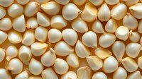 Fresh garlic cloves scattered on warm golden background creating organic cooking ingredient pattern for culinary and healthy food concepts.