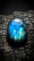 Polished labradorite gemstone with brilliant blue flash on weathered wood surface showcasing natural mineral beauty and iridescent properties for jewelry design.