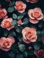 Blooming coral pink roses with dark green leaves create romantic garden atmosphere. Moody floral composition with soft petals and natural lighting for wedding designs.