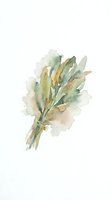 Watercolor illustration of fresh green herbs bundle with soft muted tones, isolated on white background, ready for design projects, botanical artwork, and culinary applications.