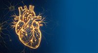 Golden glowing human heart anatomy with neural network connections on blue gradient background for medical education and healthcare presentations.
