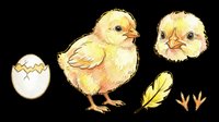 Cute baby chicks with cracked egg, feather and footprints, isolated on transparent background. Great for Easter clipart, stickers, t-shirt design, and print on demand.