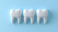 Three white teeth models arranged in a row on a light blue background, representing dental health, orthodontics, and oral care for medical and healthcare design use.