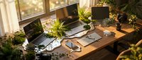 Sunlit wooden desk with laptops, keyboard, and lush green plants by a bright window, creating a cozy productive home office workspace.