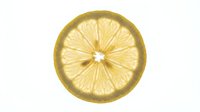 Sliced lemon half with visible segments and seeds isolated on white background, ready for culinary, beverage, and food design projects.