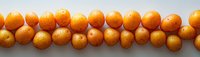 Fresh ripe kumquats arranged in neat rows on white background, bright orange citrus fruits creating minimalist pattern for healthy eating concept.
