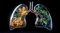 Artistic lungs visualization with glowing golden particles and green leaves inside transparent anatomy, symbolizing contrast between health and disease.