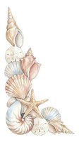 Watercolor seashell and starfish arrangement in soft pastels, isolated on white background. Perfect for coastal design, marine clipart, and beach-themed projects.