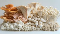 Fresh assorted edible mushrooms including oyster, enoki, white beech, and coral varieties arranged in artistic composition on white background, isolated for culinary use.