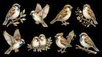 Sparrow clipart set with eight detailed birds perched and in flight on branches, isolated on transparent background, ready for stickers, t-shirt design, and print on demand.
