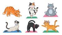 Cartoon cats in various poses and colors standing on colored platforms, isolated on white background for design projects.