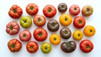 Colorful heirloom tomatoes variety collection featuring red, yellow, green and purple organic vegetables arranged on white background for cooking recipes.