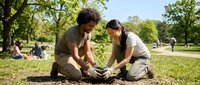Adult man and woman planting seedling together in park soil during sunny day, environmental conservation and community gardening project.