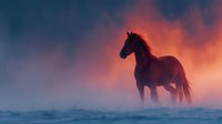 Silhouette of wild horse standing in misty field at sunset with dramatic orange and blue sky backdrop, creating mystical atmosphere.