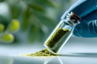 Person in blue glove pouring green herbal powder from small glass bottle, showcasing natural supplement or medicinal ingredient against blurred green background.