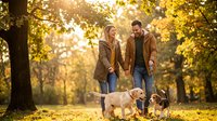 Happy couple walking dogs in autumn park with golden sunlight filtering through colorful fall foliage creating warm romantic atmosphere for outdoor activities.