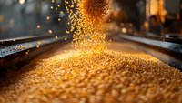 Golden corn grains pouring into industrial storage container with bright sparkling particles in agricultural processing facility.