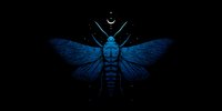 Blue mystical moth with spread wings on black background featuring celestial symbols and magical elements for spiritual and esoteric design projects.