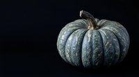 Blue-grey pumpkin with deep ridges and textured skin isolated on black background, suitable for autumn harvest designs, seasonal marketing, and fall-themed graphics.