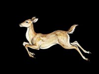 Leaping deer illustration isolated on transparent background, ready for t-shirt designs, clipart, stickers, sublimation, and print-on-demand products.