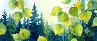 Watercolor forest landscape with bright green leaves and evergreen trees creating peaceful nature scene for relaxation and outdoor themes.