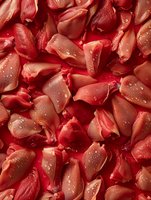 Fresh red rose petals with water droplets in macro photography, creating romantic texture and pattern for valentines day designs and wedding backgrounds.