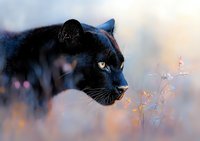 Black panther in profile view against soft pastel background with delicate wildflowers, showcasing intense yellow eyes and sleek fur in dramatic wildlife photography.