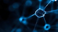 Glowing blue neuron cell network visualization with selective focus on synaptic connection against dark background, showing neural activity and transmission.