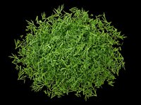 Fresh chopped dill herb pile isolated on transparent background, ready for food packaging, recipe cards, stickers, print on demand, T-shirt design, and culinary clipart use.