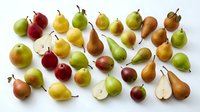 Assorted fresh pears and apples arranged on white background, including red, green, and golden varieties with stems, some sliced to show interior flesh for food styling and culinary use.