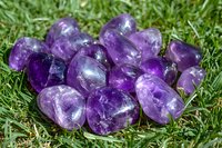 Polished purple amethyst crystals scattered on green grass in natural sunlight, showcasing their translucent clarity and varying shades of violet mineral formations.