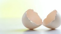 Broken eggshell halves on clean white surface with soft natural lighting creating minimal shadows for cooking and kitchen concepts.
