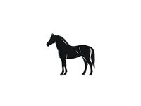 Black horse silhouette isolated on white background for logo design, equestrian branding, and graphic projects.