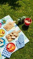 Outdoor picnic spread on grass with wooden cutting boards holding nuts, crackers and cheese, colorful plates with fresh fruit slices, red bowls, checkered napkin and beverage bottle for summer gatherings.