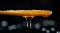 Golden honey dripping from wooden dipper against dark background with bokeh lights, macro food photography showing viscosity and natural sweetness.