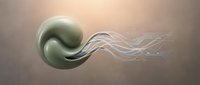 Microscopic organism with undulating flagella on neutral background, suitable for scientific education, medical illustration, and biology textbook design.