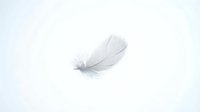 Single white feather floating on clean white background, isolated object for minimalist design projects and spiritual concepts.