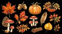 Autumn harvest collection featuring isolated fall foliage, mushrooms, pumpkin, berries and natural elements on transparent background. Ready for t-shirt designs, clipart, stickers, sublimation and print-on-demand projects.