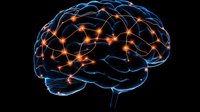 Glowing neural network visualization in human brain with orange synapses and blue outline on black background, showing neural connections and brain activity.