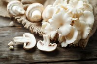 Fresh white mushrooms and oyster mushrooms on rustic wooden background with burlap cloth, natural organic food ingredients for cooking.