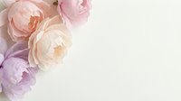 Soft pastel peonies in pink, peach and lavender arranged on a white background with copy space for wedding or beauty design.