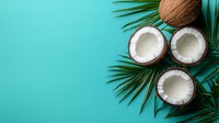 Fresh coconuts split in half showing white flesh with palm leaves on turquoise background, copy space for summer tropical design and food concepts.