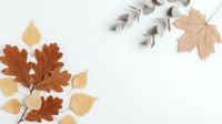Autumn leaves arrangement with eucalyptus branch on white background, seasonal flat lay composition for fall decorating and crafting projects.